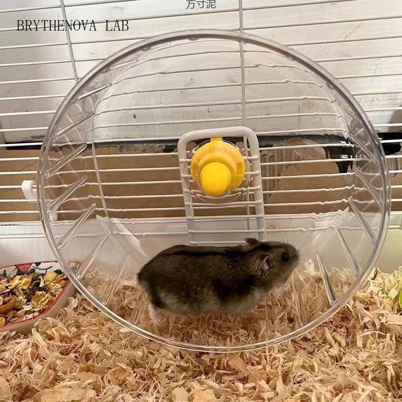 عجلة جري للهامستر مع حامل، كبي - مراجعة Hamster Cage Wheel وسعره