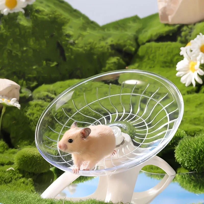 عجلة تمارين صامتة للحيوانات ال - مراجعة Hamster Cage Wheel وسعره