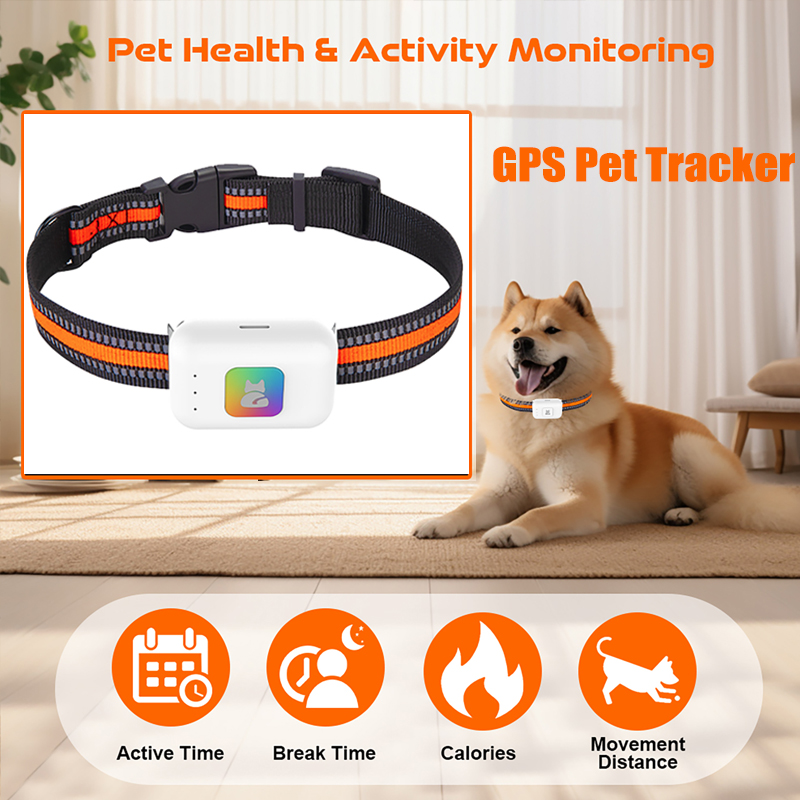 جهاز تتبع نظام تحديد المواقع A - مراجعة Pet Supplies Direct وسعره