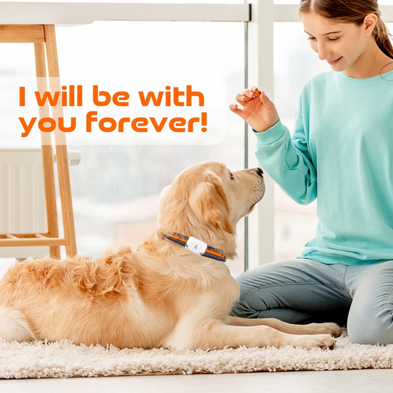 جهاز تتبع نظام تحديد المواقع A - مراجعة Pet Supplies Direct وسعره