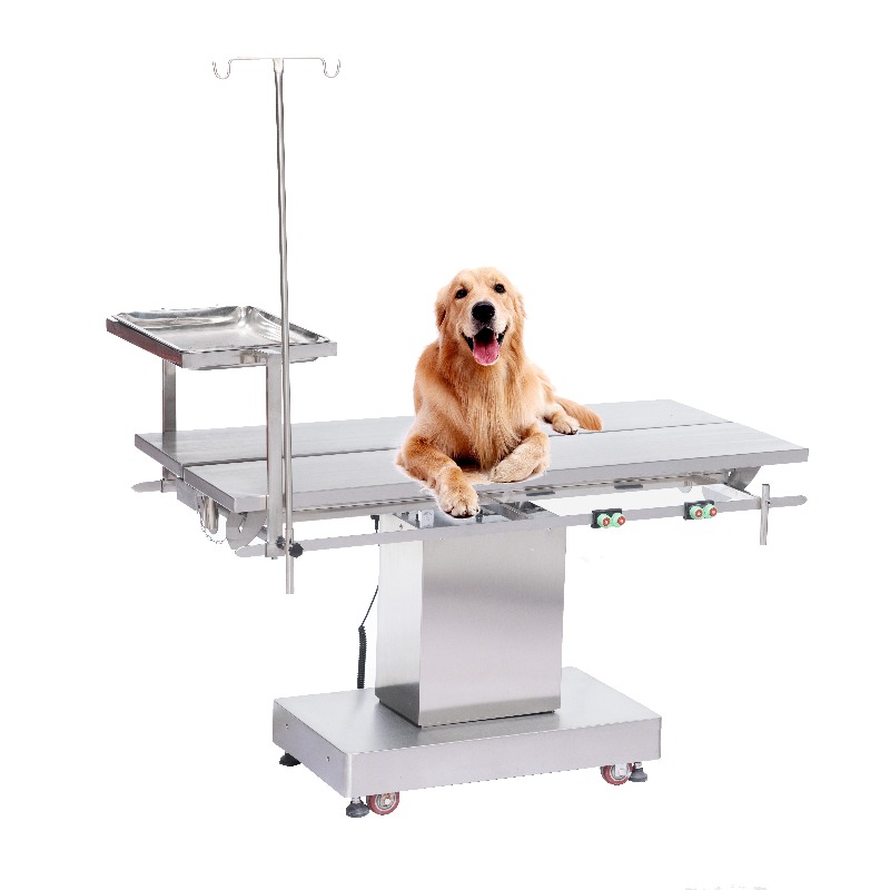 طاولة فحص بيطرية 2026 للمستشفي - مراجعة Pet Supplies Vet Clinic وسعره