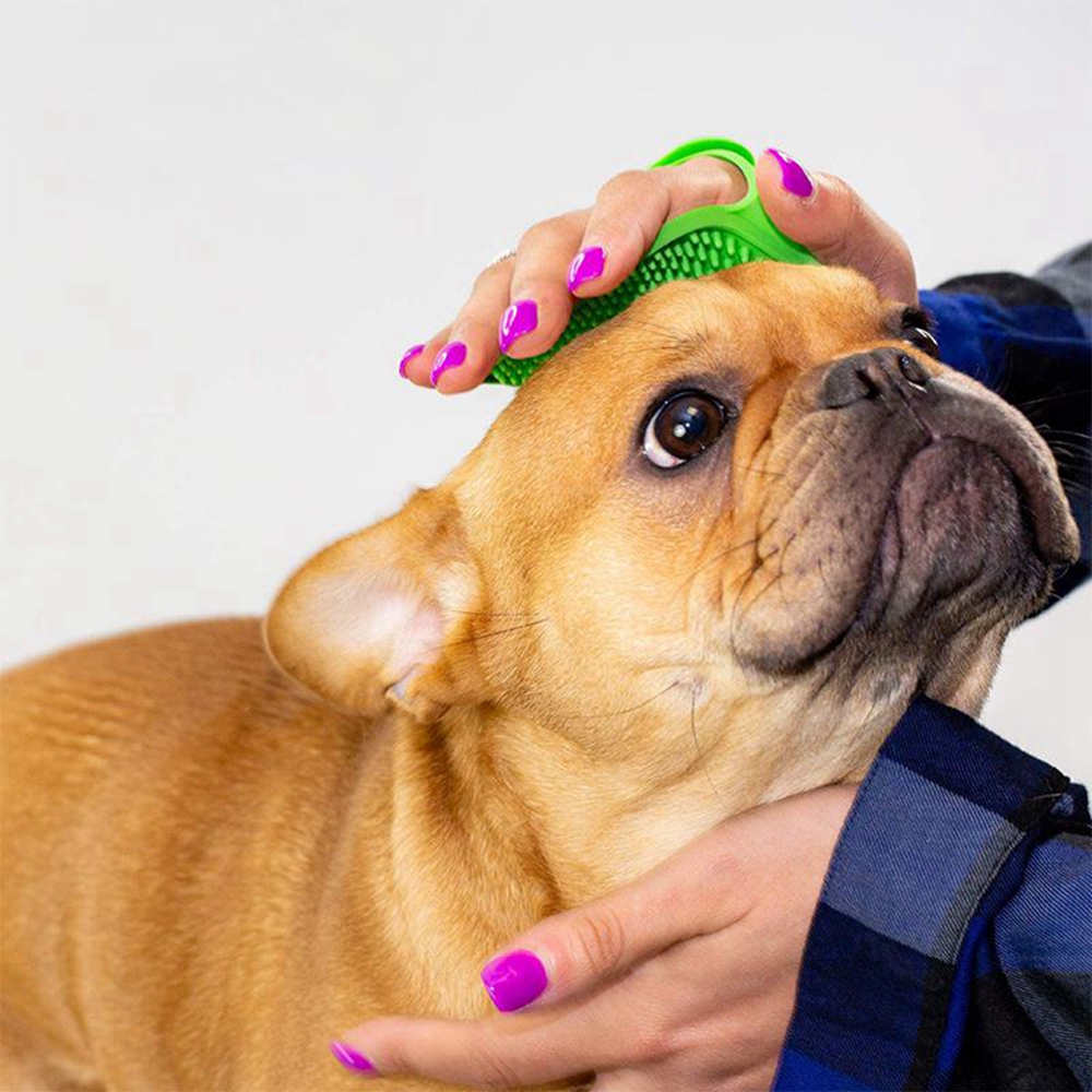 فرشاة تنظيف الحيوانات الأليفة، - مراجعة Pet Supplies Dropshipping وسعره
