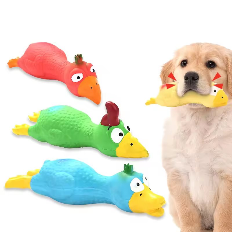 لعبة لطيفة على شكل دجاجة من ال - مراجعة Pet Supplies Co وسعره