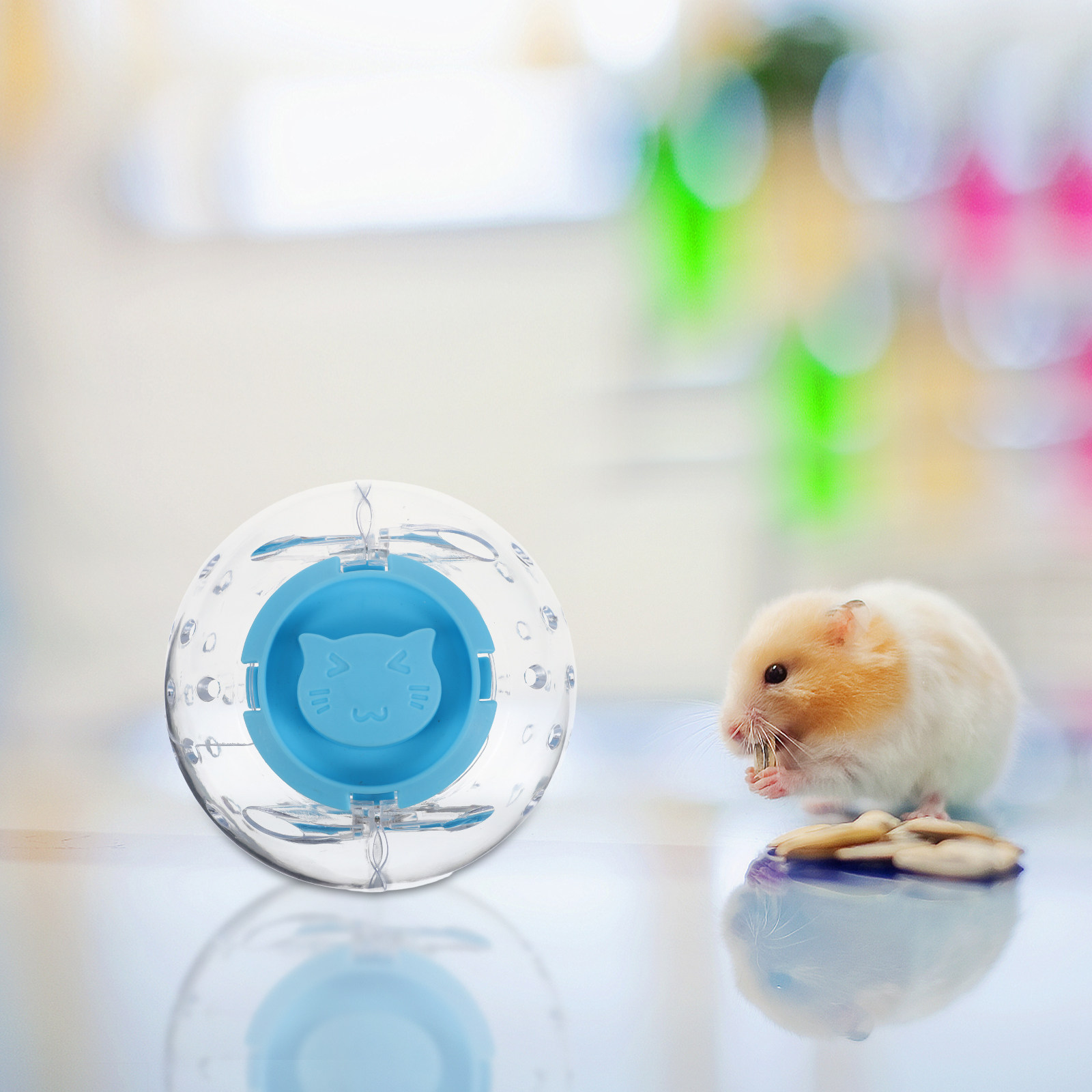 عجلة جري صامتة للهامستر، عجلة  - مراجعة Hamster Cage Wheel وسعره