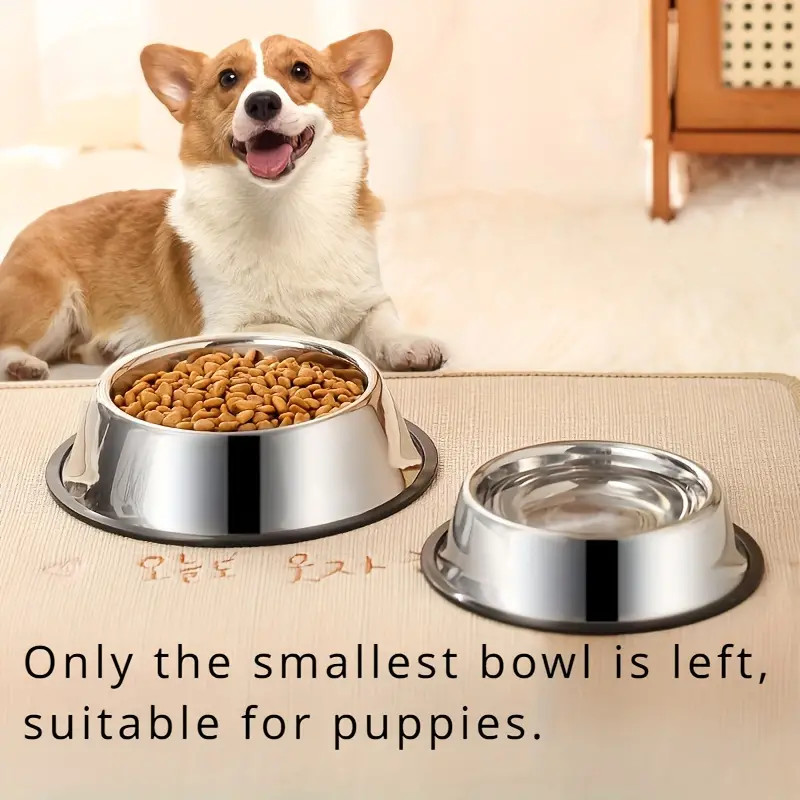 وعاء كلب من الفولاذ المقاوم لل - مراجعة Pet Supplies Dropshipping وسعره