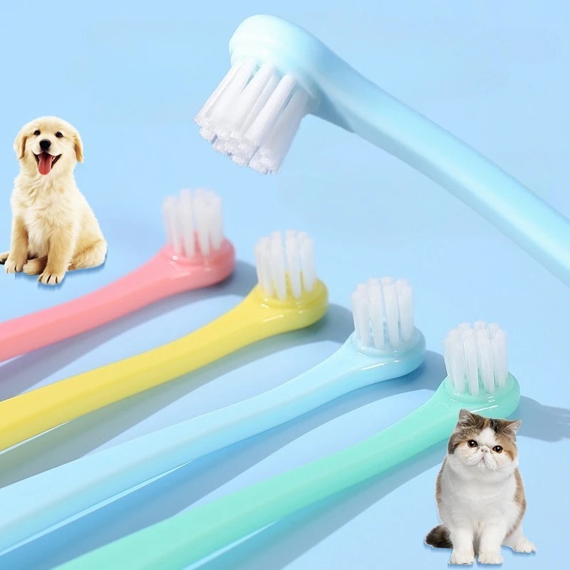 فرشاة أسنان للكلاب، فرشاة تنظي - مراجعة Pet Supplies Co وسعره