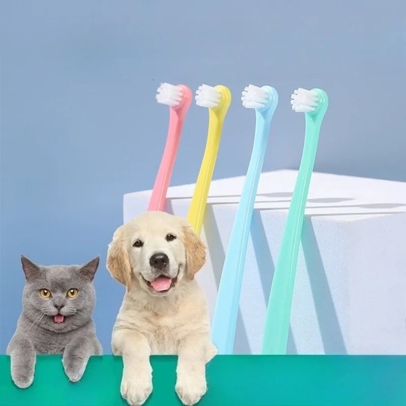 فرشاة أسنان للكلاب، فرشاة تنظي - مراجعة Pet Supplies Co وسعره