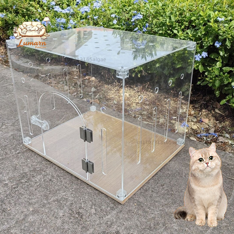 قفص قطط شفاف من الأكريليك للاس - مراجعة Pet Supplies In Store وسعره