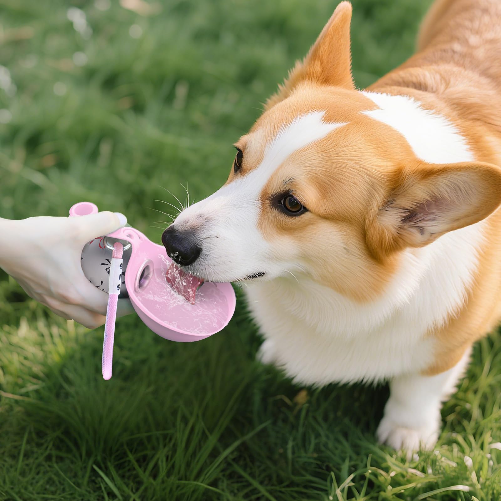 زجاجة ماء محمولة للكلاب الصغير - مراجعة Pet Supplies Dropshipping وسعره