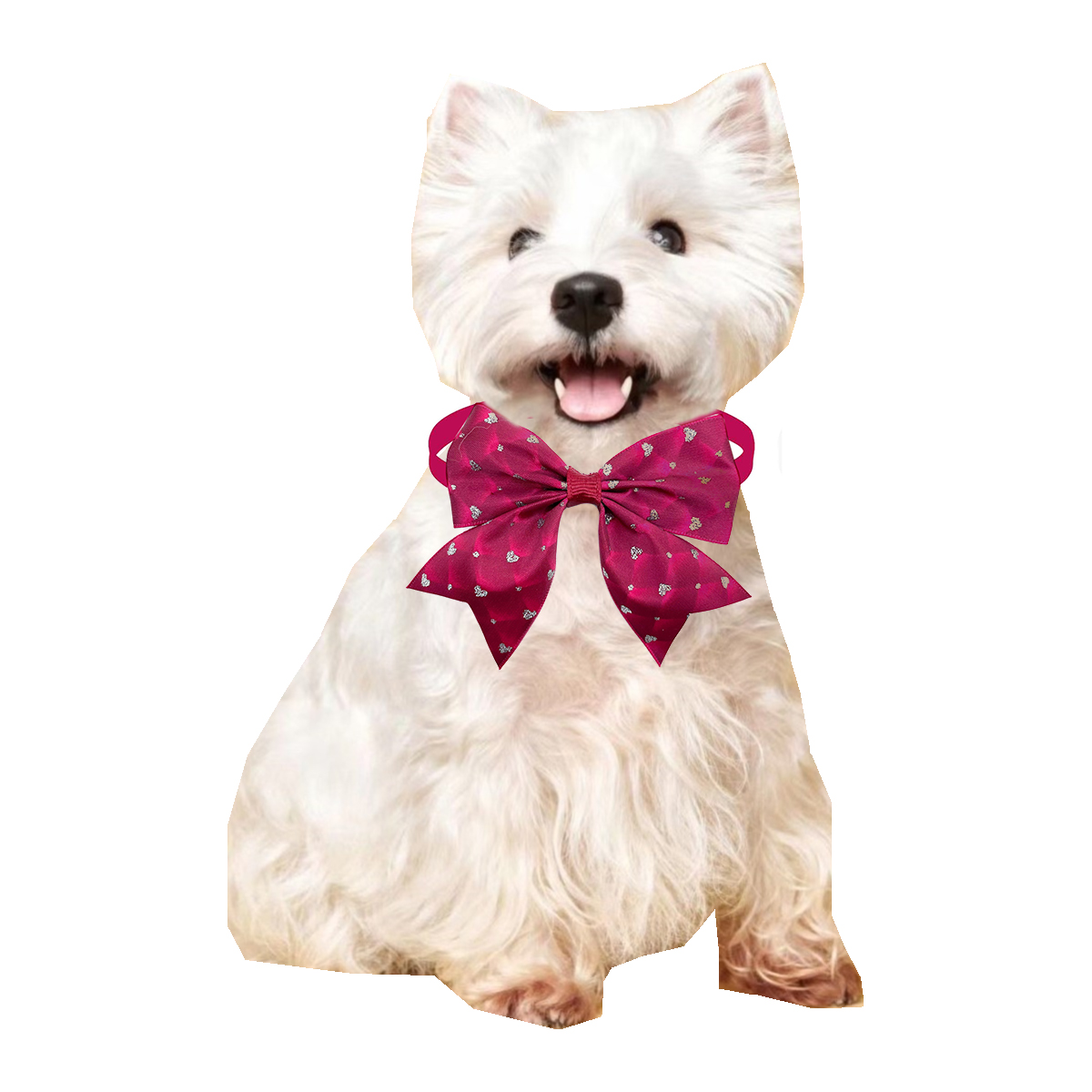 50/100 قطعة ربطة عنق على شكل ك - مراجعة Pet Supplies Co وسعره