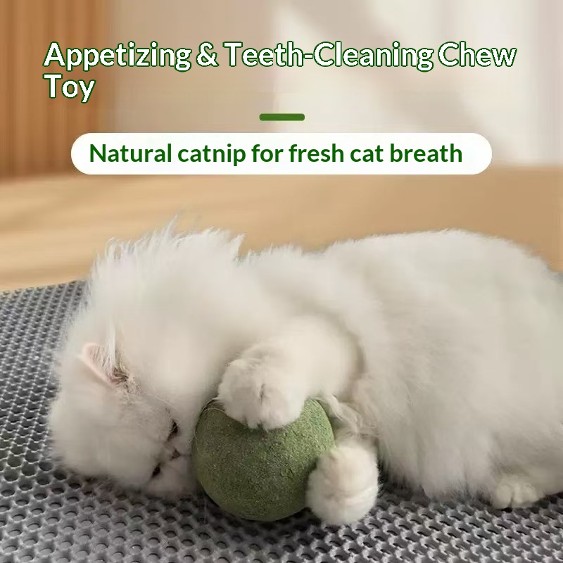 كرة النعناع القطيفة الكبيرة جد - مراجعة Catnip Toys وسعره