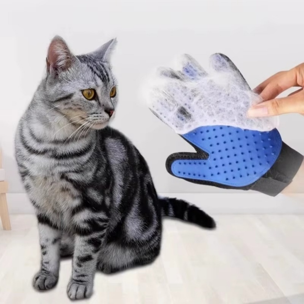 الحيوانات الأليفة القط الكلب ا - مراجعة Pet Supplies Dropshipping وسعره