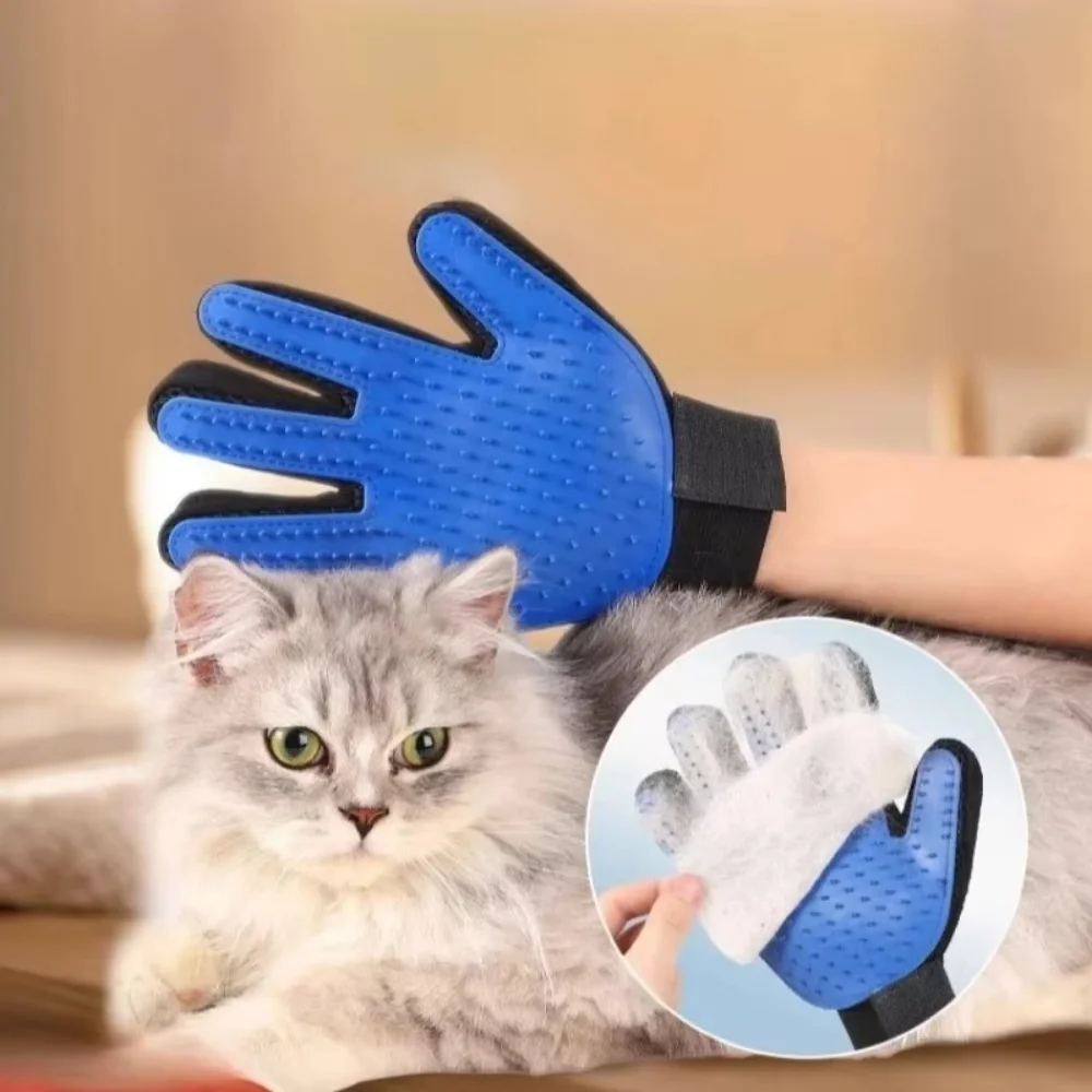 الحيوانات الأليفة القط الكلب ا - مراجعة Pet Supplies Dropshipping وسعره