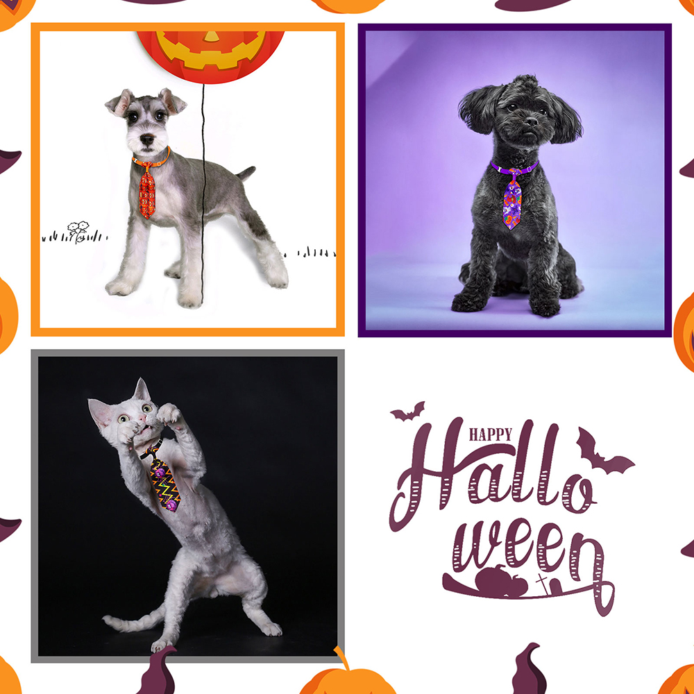 50/100 قطعة هالوين الكلب الاست - مراجعة Pet Supplies Co وسعره