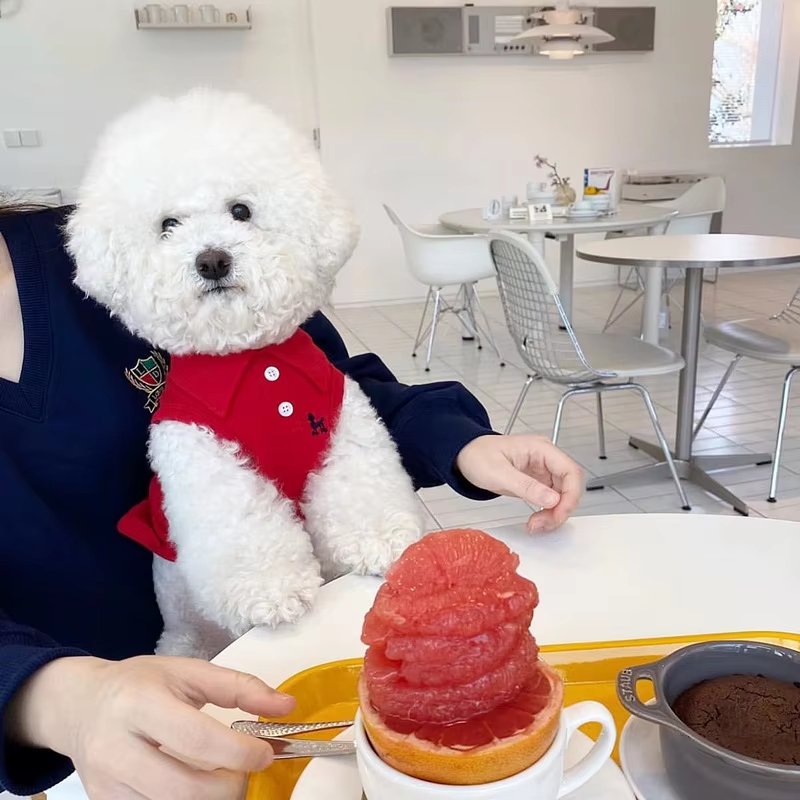 قميص بولو جديد للكلاب، ملابس ر - مراجعة Pet Supplies Co وسعره