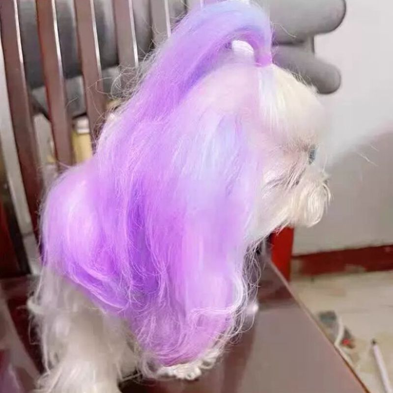 كريم صبغة شبه دائم للحيوانات ا - مراجعة Pet Supplies Warehouse وسعره