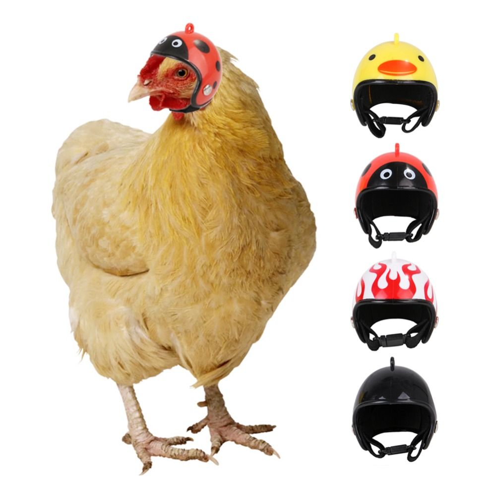 لوازم الحيوانات الأليفة من ABS - مراجعة Pet X Supplies & Tack Photos وسعره
