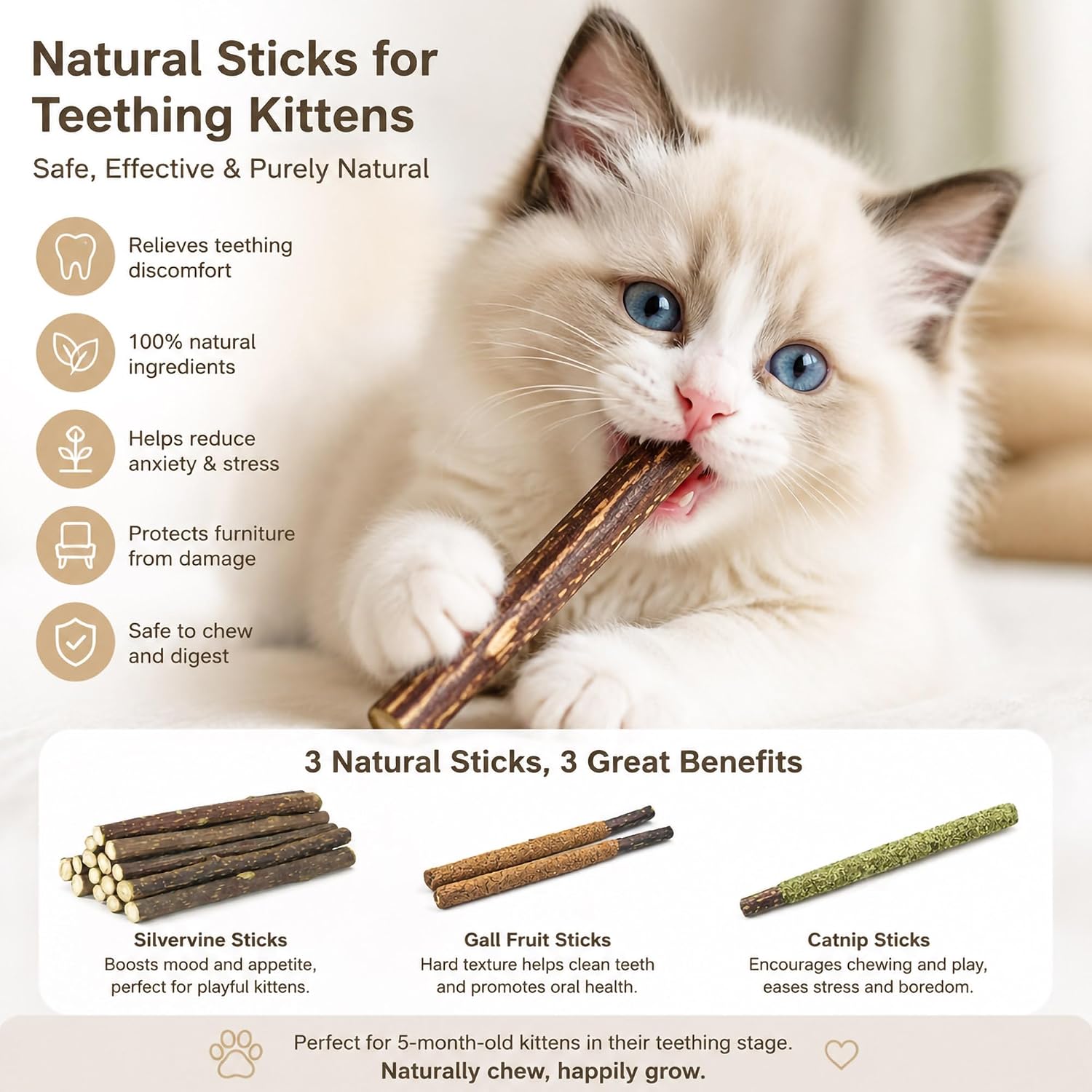 24 قطعة من أعواد السيلفرين بثل - مراجعة Catnip Toys وسعره