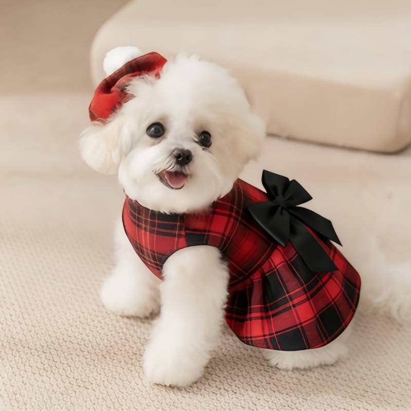 ملابس للكلاب الأليفة، قميص مخط - مراجعة Pet Supplies Co وسعره