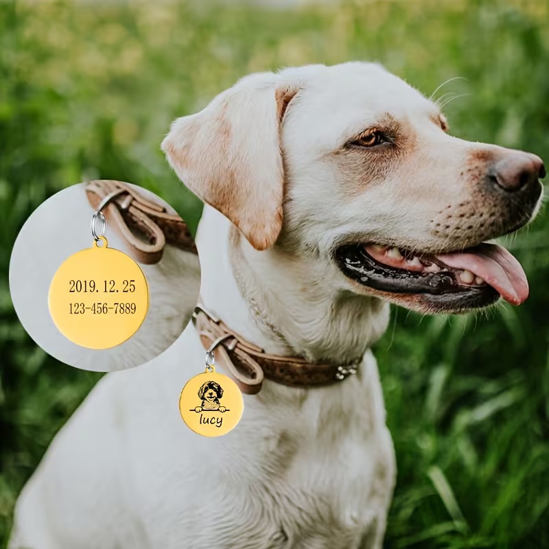 أطواق مخصصة مضادة للضياع للحيو - مراجعة Pet Supplies Direct وسعره