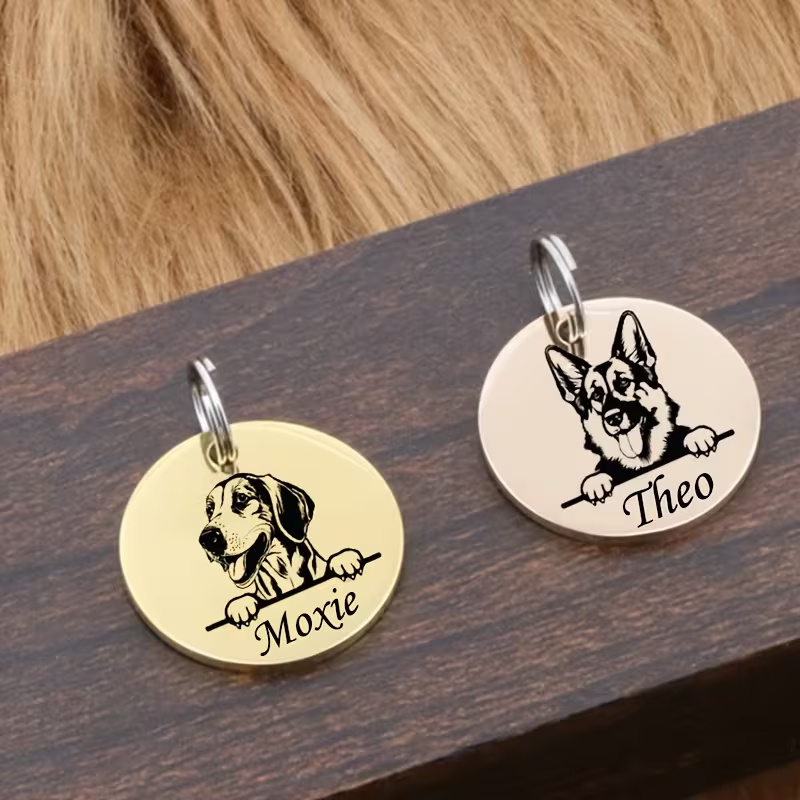 أطواق مخصصة مضادة للضياع للحيو - مراجعة Pet Supplies Direct وسعره