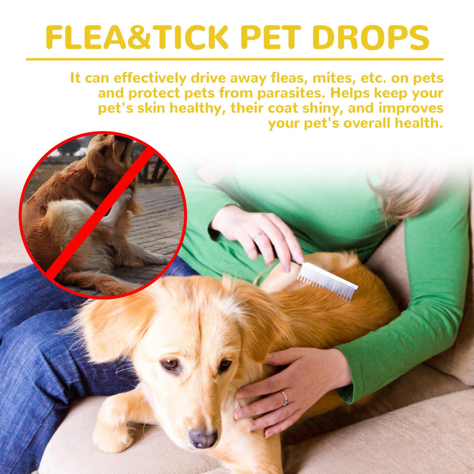 قطرات مضادة للبراغيث للقطط، تز - مراجعة Pet Supplies Dropshipping وسعره