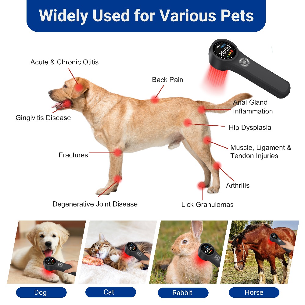 جهاز علاج بالليزر البارد احترا - مراجعة Pet Supplies Outlet وسعره