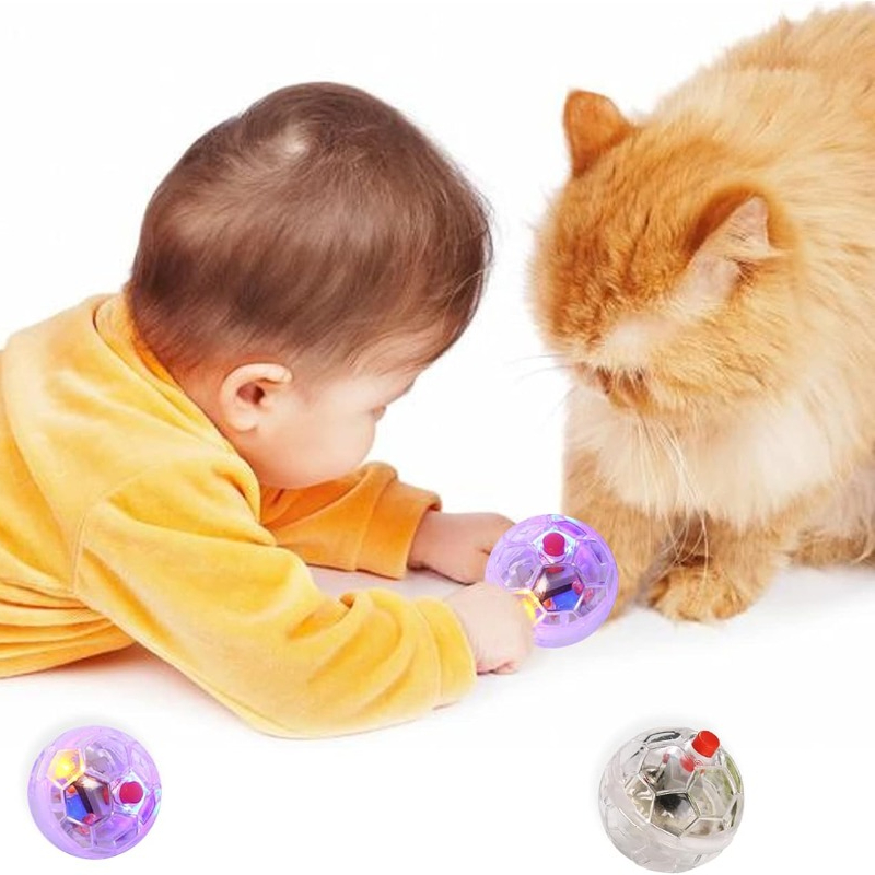 لعبة كرة متوهجة شفافة للقطط وا - مراجعة Catnip Toys وسعره