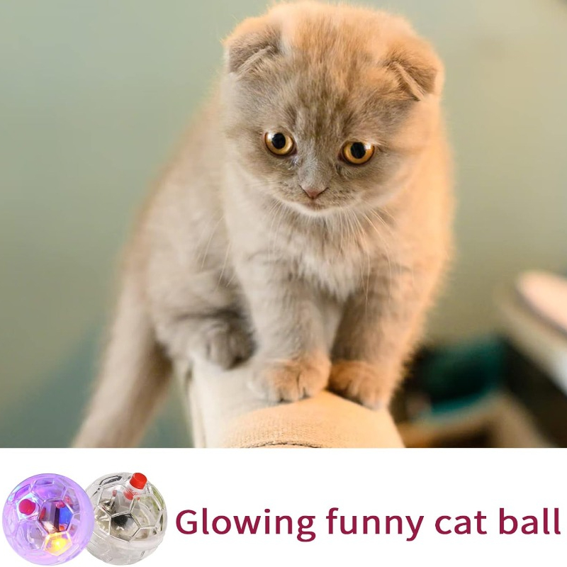 لعبة كرة متوهجة شفافة للقطط وا - مراجعة Catnip Toys وسعره