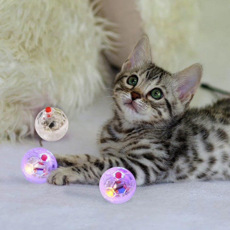لعبة كرة متوهجة شفافة للقطط وا - مراجعة Catnip Toys وسعره