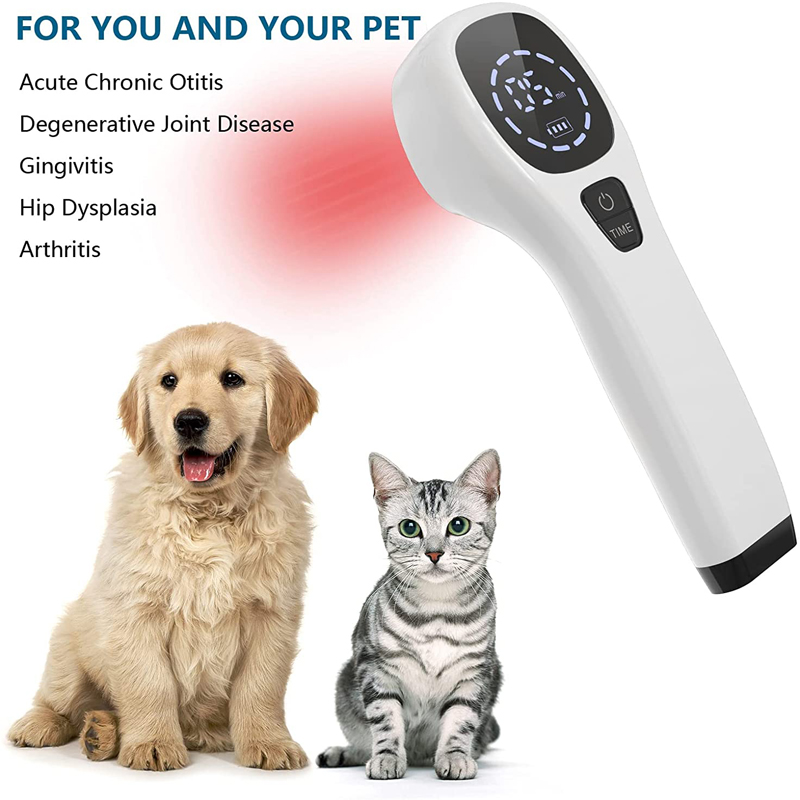 2x808nm جهاز العلاج بالليزر ال - مراجعة Pet Supplies Outlet وسعره