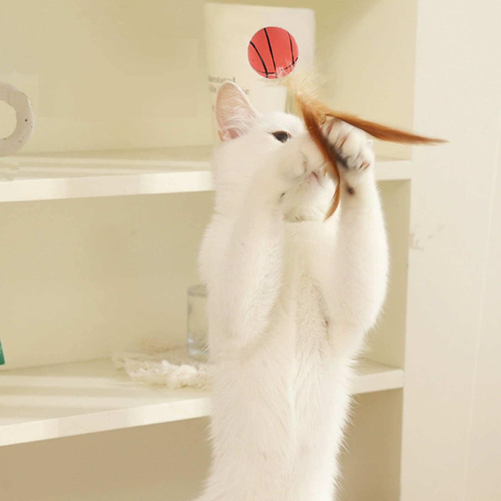 القط ريشة ألعاب كروية ألعاب ال - مراجعة Catnip Toys وسعره