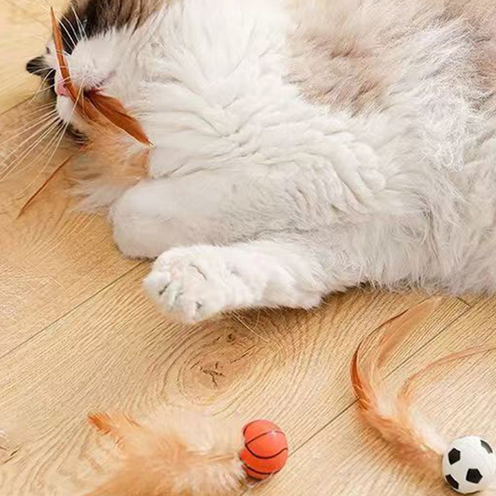 القط ريشة ألعاب كروية ألعاب ال - مراجعة Catnip Toys وسعره