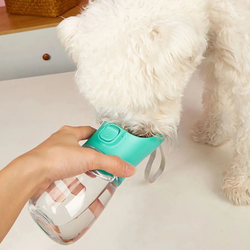 زجاجة ماء محمولة للحيوانات الأ - مراجعة Pet Supplies Co وسعره