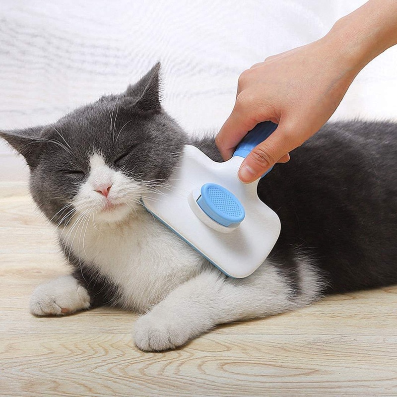 فرشاة ذاتية التنظيف لإزالة شعر - مراجعة Pet Supplies Dropshipping وسعره